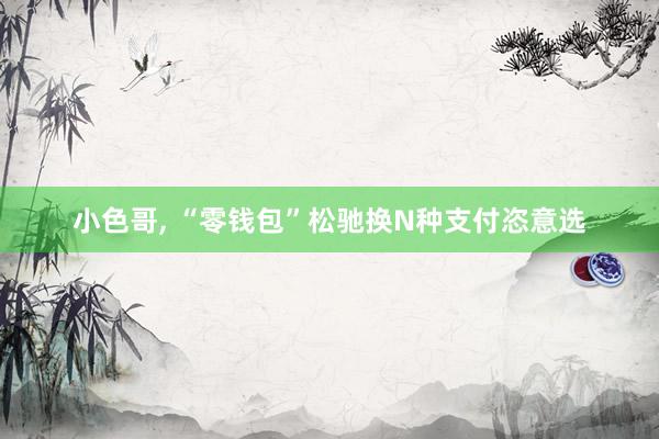 小色哥, “零钱包”松驰换　N种支付恣意选
