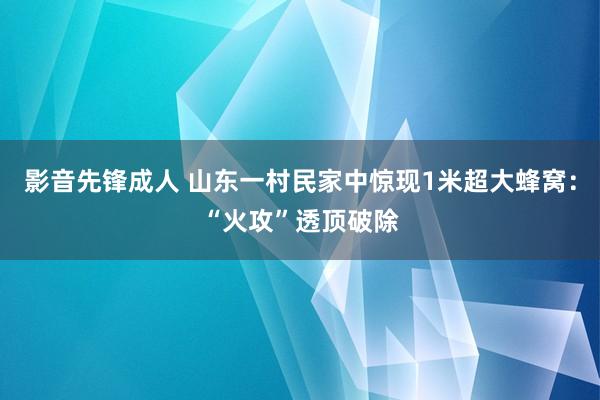 影音先锋成人 山东一村民家中惊现1米超大蜂窝：“火攻”透顶破除