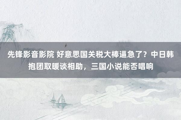 先锋影音影院 好意思国关税大棒逼急了？中日韩抱团取暖谈相助，三国小说能否唱响