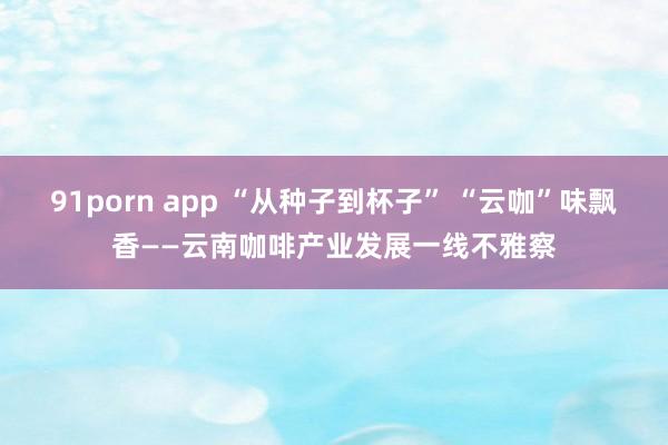 91porn app “从种子到杯子” “云咖”味飘香——云南咖啡产业发展一线不雅察
