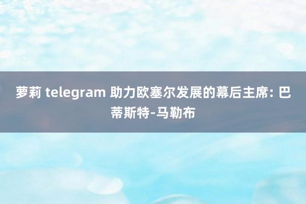 萝莉 telegram 助力欧塞尔发展的幕后主席: 巴蒂斯特-马勒布