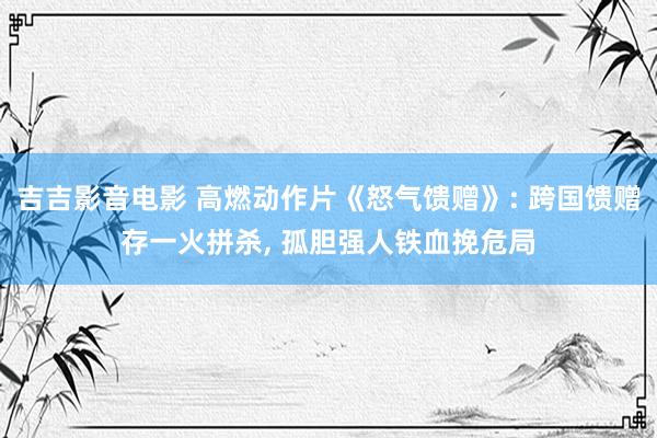 吉吉影音电影 高燃动作片《怒气馈赠》: 跨国馈赠存一火拼杀， 孤胆强人铁血挽危局