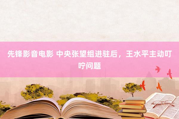 先锋影音电影 中央张望组进驻后，王水平主动叮咛问题