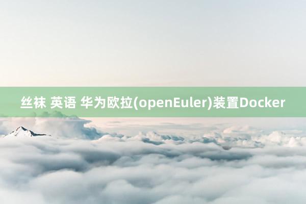 丝袜 英语 华为欧拉(openEuler)装置Docker