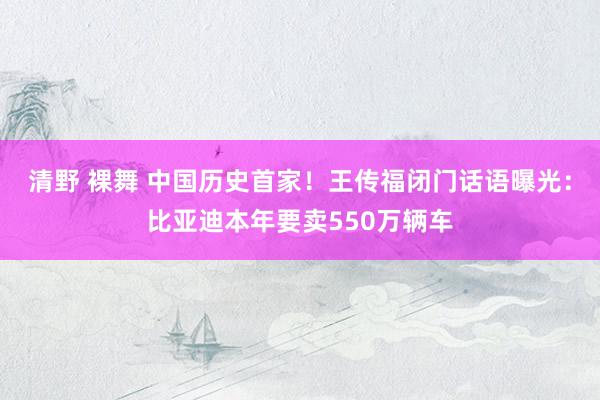 清野 裸舞 中国历史首家！王传福闭门话语曝光：比亚迪本年要卖550万辆车